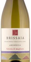 Brissaia Ansonica 2023