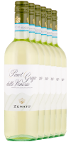 FREI HAUS 6 x Pinot Grigio delle Venezie 2023